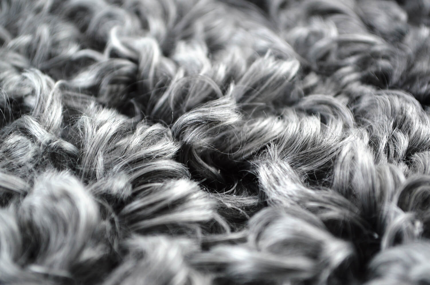 ゴットランドシープとは